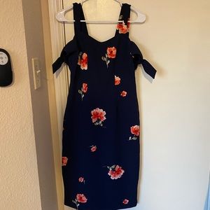 Dressbarn dress